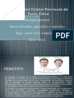 Biologia Genotipo, Fenotipo y Cariotipo