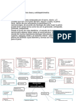 Pelvis Osea y Cefalopelvimetria