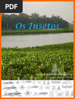 Cartilha Os Insetos