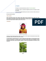 La Papaya: la fruta tropical con grandes beneficios para la salud