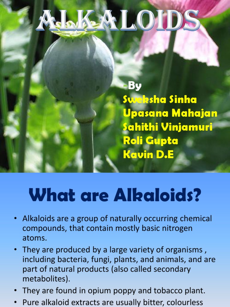 Alkaloids (1) PPT PDF Alkaloid Pharmacology