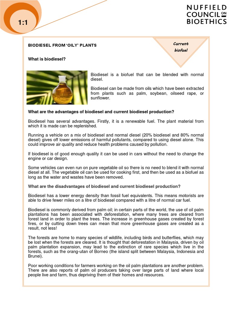 1 1 Biofuels Examples Biogas Biofuel