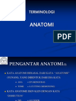 02b-terminologi-anatomi