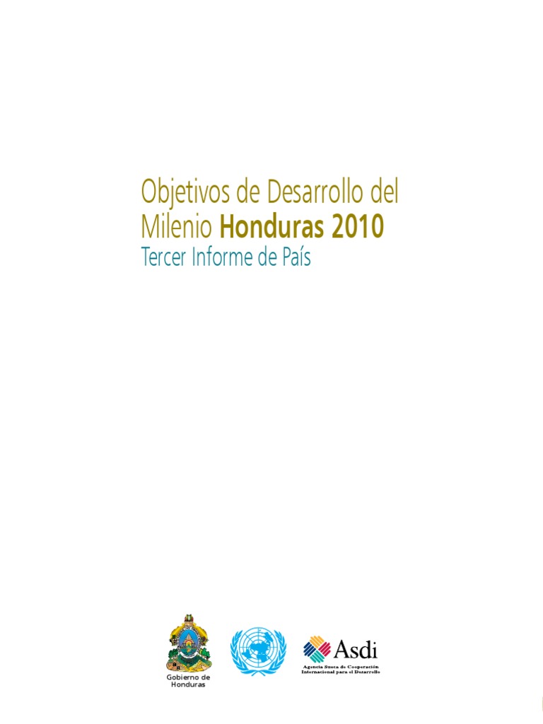Informe Odm 2010 Completo - 
