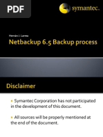 Netbackup 6.5 Backup Process