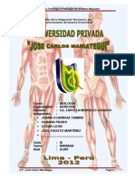 Anatomia y Fisiologia Patología Del Sistema Muscular-Trabajo Monogr