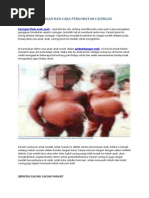 Download FAKTOR PENYEBAB CACINGAN DAN CARA MENGOBATI CACINGANpdf by CaraTikus SN169902760 doc pdf