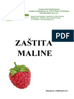 Zаštita mаlinе (latinica)