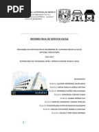 Ejemplo Informe Final de Servicio Social