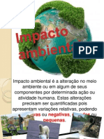 Impacto ambiental  (1)