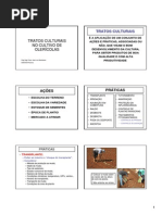 TRATOSCULTURAIS OLERiCOLAS