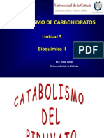 Metabolismo de Carbohidratos - Fermentacion