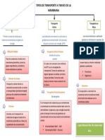 Tipos de Transporte