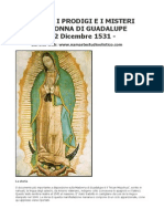 La Storia I Prodigi e I Misteri Della Madonna Di Guadalupe