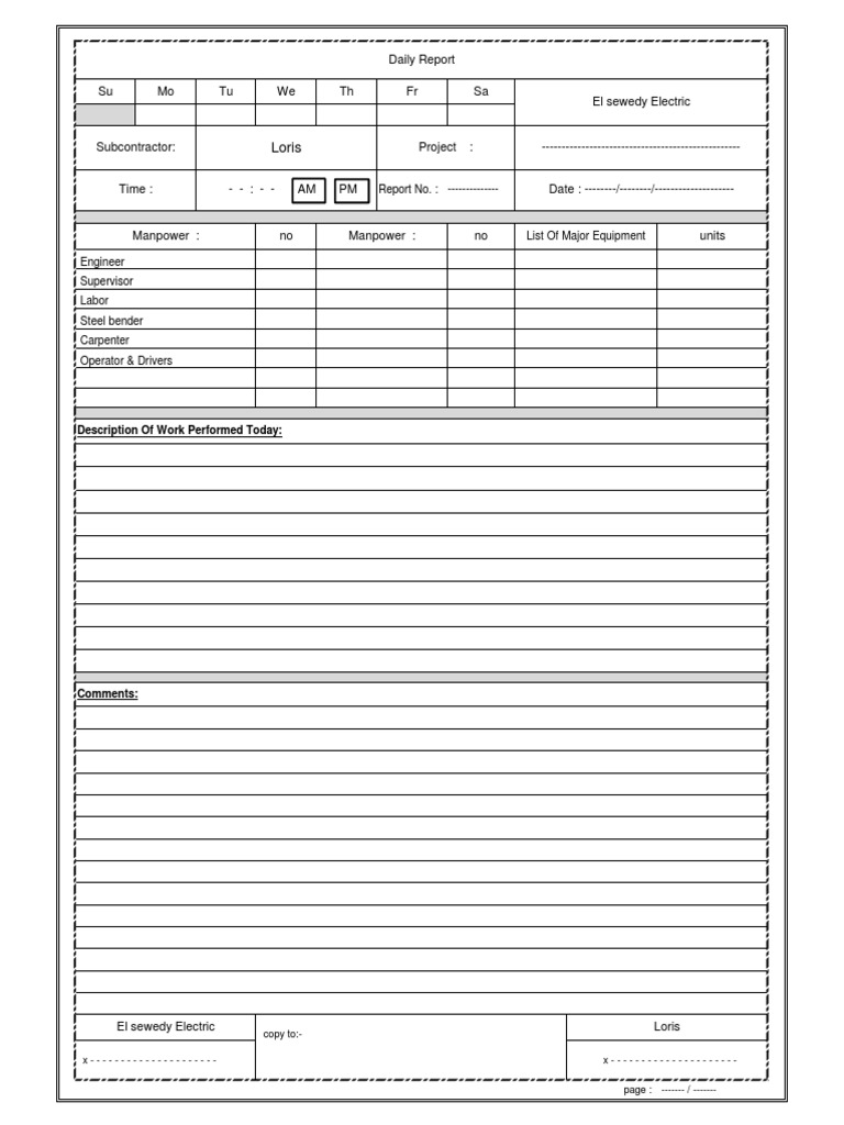 Daily Report | PDF