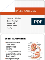 Phylum Annelida: Group. 5 - BSMT-2A