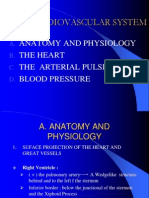 The Cardiovascular System: Anatomy and Physiology The Heart The Arterial Pulse Blood Pressure