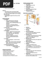 Chapter 6 Anatomy and Physiology