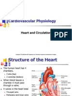 Cardiovascular Physiology: Heart and Circulation