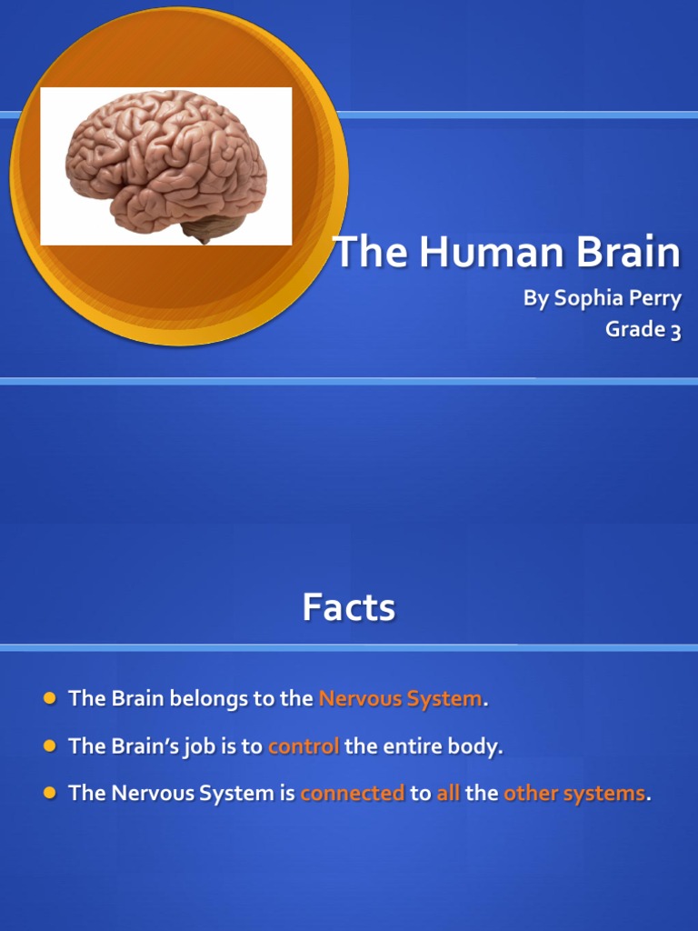 Understanding the Human Brain | PDF | Science & Mathematics