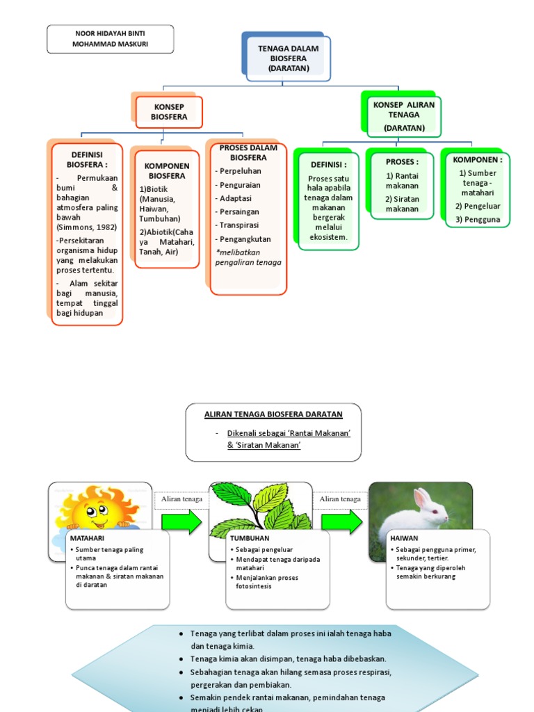 Noor Hidayah Binti Mohammad Maskuri Tenaga Biosfera Daratan Pdf