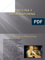 Penicilina y Cefalosporina