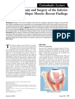 Inferior Oblique Muscle