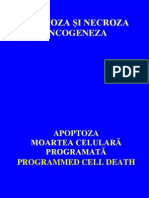 Apoptoza Si Necroza