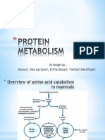 Amino Acid Catabolism Between Organs