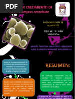 Download CINTICA DE Saccharomyces cerevisiae by Jonathan Lopez Guerra SN170051813 doc pdf