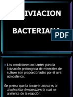 Lixiviacion Bacteriana Karla