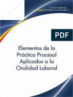 Elementos de La Practica Procesal Aplicados A La Oralidad Laboral