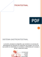 Sistema Gastrointestinal