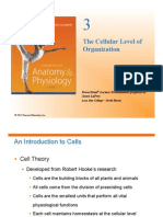 CH 03 Lecture Presentation-1 PDF