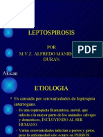 Leptospira