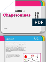 Chaperon in As