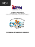 Livro Teoria Dos Numeros