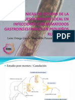 Técnicas de Estudio de La Respuesta Inmune Local en Infecciones Con Nematodos Gastrointestinales en Pequeños Rumiantes. Leire Ortega