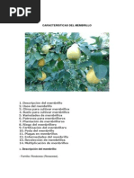 Caracteristicas Del Membrillo
