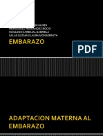 Adaptacion Materna Al Embarazo