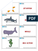 Sea Animals Flashcard1