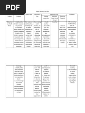Family Nursing Care Plan