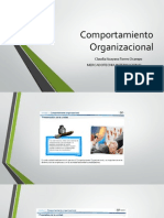 Comportamiento Organizacional