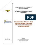 Lineamientos Basicos de Investigacion en UEES (1)