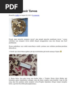 Download Cara Mengusir Tawon by Albertus Noviantoni SN170188338 doc pdf