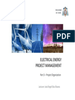 CEESP Electrical Energy Project Management 3 Project Organization