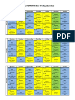 P90X INSANITY Hybrid Workout Schedule