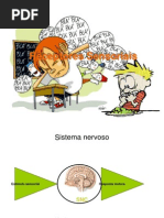 Fisiologia Sensorial