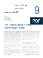9 - RNA Transcription, Transfection and Quantitation