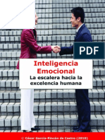 Inteligencia Emocional La Escalera Hacia La Excelencia Humana